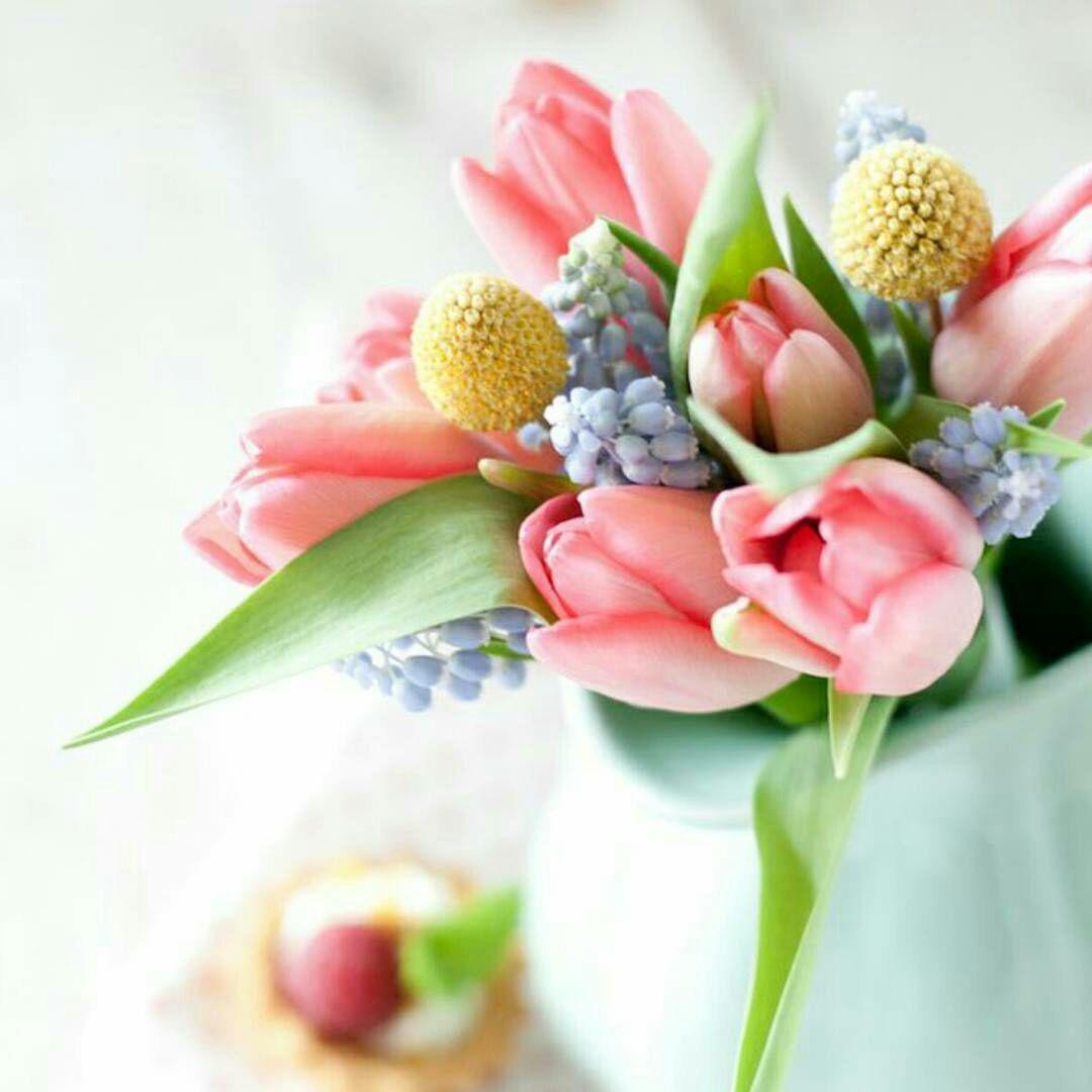 اضغط على الصورة لعرض أكبر.&nbsp;

الإسم:	photo_2017-02-24_21-06-29.jpg&nbsp;
مشاهدات:	271&nbsp;
الحجم:	102.9 كيلوبايت&nbsp;
الهوية:	937057