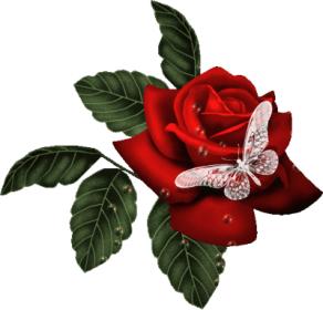 اضغط على الصورة لعرض أكبر.&nbsp;

الإسم:	3914_2008-08-22_3290_2007-01-06_1p6b-l.jpg&nbsp;
مشاهدات:	1&nbsp;
الحجم:	12.1 كيلوبايت&nbsp;
الهوية:	828450