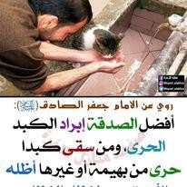 اضغط على الصورة لعرض أكبر.&nbsp;

الإسم:	photo_2021-09-05_07-03-43.jpg&nbsp;
مشاهدات:	370&nbsp;
الحجم:	19.2 كيلوبايت&nbsp;
الهوية:	923354