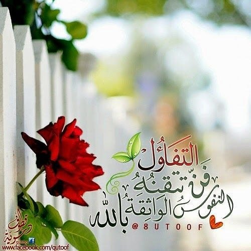 اضغط على الصورة لعرض أكبر.&nbsp;

الإسم:	16807058_1915313468702443_3645889232511079538_n.jpg&nbsp;
مشاهدات:	1&nbsp;
الحجم:	46.5 كيلوبايت&nbsp;
الهوية:	860215
