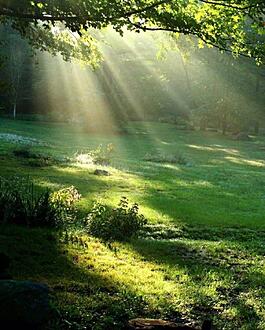 اضغط على الصورة لعرض أكبر.&nbsp;

الإسم:	photo_2021-06-29_11-35-34.jpg&nbsp;
مشاهدات:	655&nbsp;
الحجم:	216.7 كيلوبايت&nbsp;
الهوية:	918905