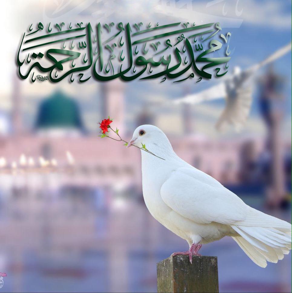 اضغط على الصورة لعرض أكبر.&nbsp;

الإسم:	محمد5.jpg&nbsp;
مشاهدات:	1&nbsp;
الحجم:	84.5 كيلوبايت&nbsp;
الهوية:	840739