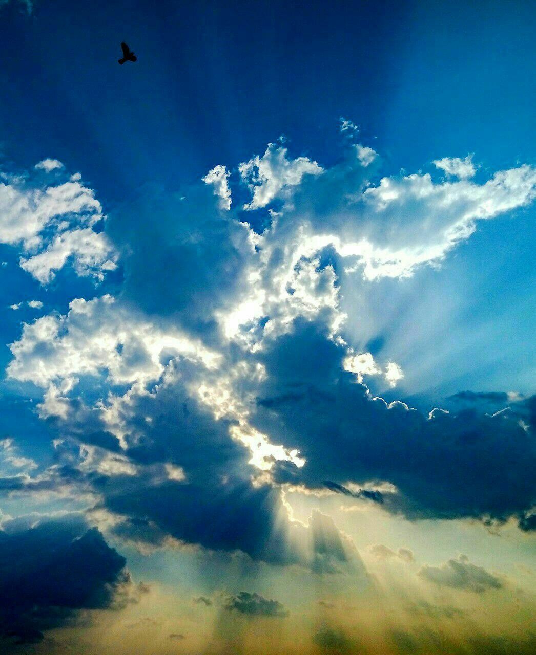 اضغط على الصورة لعرض أكبر.&nbsp;

الإسم:	photo_2016-09-28_23-54-22.jpg&nbsp;
مشاهدات:	367&nbsp;
الحجم:	214.7 كيلوبايت&nbsp;
الهوية:	915138