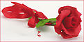 اضغط على الصورة لعرض أكبر.&nbsp;

الإسم:	244.png&nbsp;
مشاهدات:	2&nbsp;
الحجم:	99.2 كيلوبايت&nbsp;
الهوية:	831395