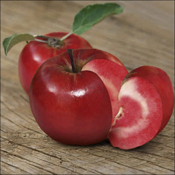 اضغط على الصورة لعرض أكبر.&nbsp;

الإسم:	red_apple.jpg&nbsp;
مشاهدات:	1&nbsp;
الحجم:	62.0 كيلوبايت&nbsp;
الهوية:	849024