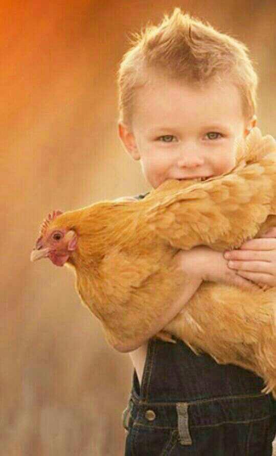 اضغط على الصورة لعرض أكبر.&nbsp;

الإسم:	photo_2017-06-14_17-19-50.jpg&nbsp;
مشاهدات:	3&nbsp;
الحجم:	40.0 كيلوبايت&nbsp;
الهوية:	860957