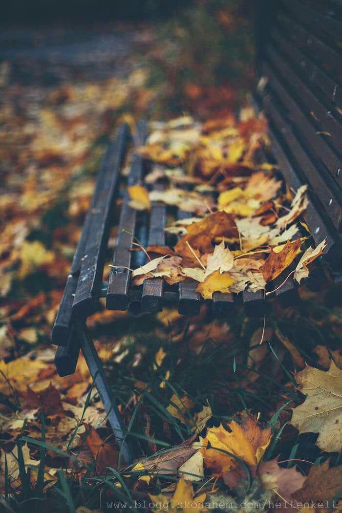 اضغط على الصورة لعرض أكبر.&nbsp;

الإسم:	photo_2017-09-04_10-42-26.jpg&nbsp;
مشاهدات:	1&nbsp;
الحجم:	80.5 كيلوبايت&nbsp;
الهوية:	861675