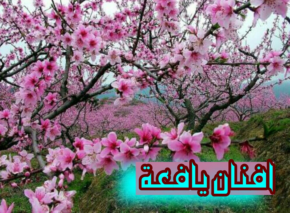 اضغط على الصورة لعرض أكبر.&nbsp;

الإسم:	CTD210201712842-1.jpg&nbsp;
مشاهدات:	2&nbsp;
الحجم:	693.5 كيلوبايت&nbsp;
الهوية:	860036