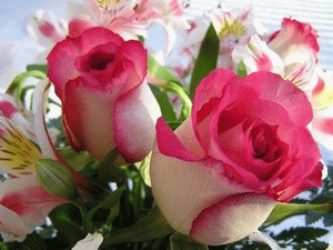 اضغط على الصورة لعرض أكبر.&nbsp;

الإسم:	taxi-bnat-fc1c38e1f0.gif&nbsp;
مشاهدات:	5&nbsp;
الحجم:	481.1 كيلوبايت&nbsp;
الهوية:	830141