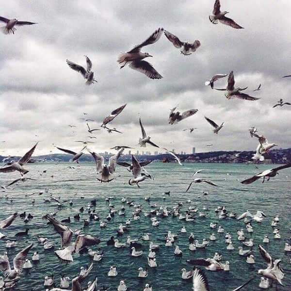اضغط على الصورة لعرض أكبر.&nbsp;

الإسم:	FB_IMG_1459659607895.jpg&nbsp;
مشاهدات:	4&nbsp;
الحجم:	54.9 كيلوبايت&nbsp;
الهوية:	859958