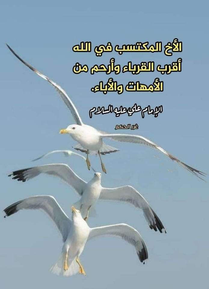 اضغط على الصورة لعرض أكبر.&nbsp;

الإسم:	photo_2023-06-01_13-42-53.jpg&nbsp;
مشاهدات:	229&nbsp;
الحجم:	76.7 كيلوبايت&nbsp;
الهوية:	976829