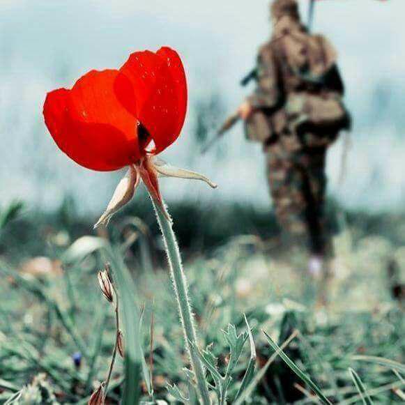 اضغط على الصورة لعرض أكبر.&nbsp;

الإسم:	photo_2017-01-31_19-22-57.jpg&nbsp;
مشاهدات:	3&nbsp;
الحجم:	40.5 كيلوبايت&nbsp;
الهوية:	862203