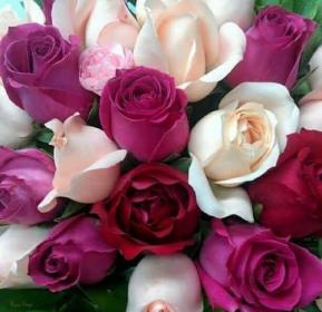 اضغط على الصورة لعرض أكبر.&nbsp;

الإسم:	received_968894273187014.jpg&nbsp;
مشاهدات:	1&nbsp;
الحجم:	15.9 كيلوبايت&nbsp;
الهوية:	840611