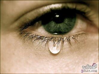 اضغط على الصورة لعرض أكبر.&nbsp;

الإسم:	900_900_10000817.jpg&nbsp;
مشاهدات:	565&nbsp;
الحجم:	103.6 كيلوبايت&nbsp;
الهوية:	921661
