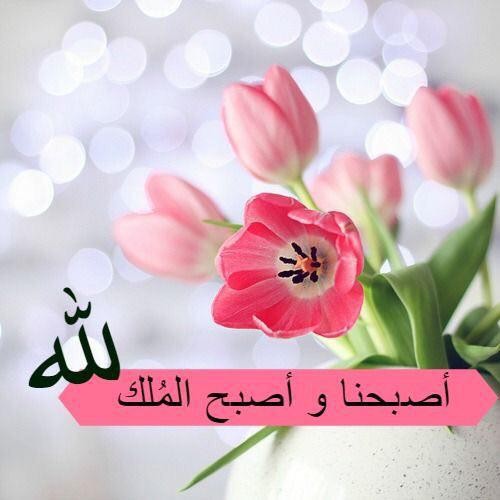 اضغط على الصورة لعرض أكبر.&nbsp;

الإسم:	photo_2017-02-21_23-34-51.jpg&nbsp;
مشاهدات:	845&nbsp;
الحجم:	41.6 كيلوبايت&nbsp;
الهوية:	895367