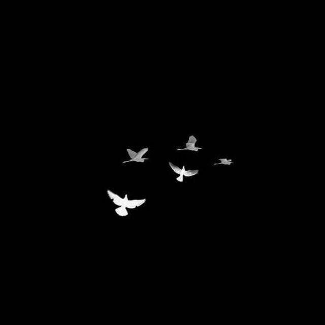 اضغط على الصورة لعرض أكبر.&nbsp;

الإسم:	photo_2017-01-31_23-34-21.jpg&nbsp;
مشاهدات:	1&nbsp;
الحجم:	9.3 كيلوبايت&nbsp;
الهوية:	860209