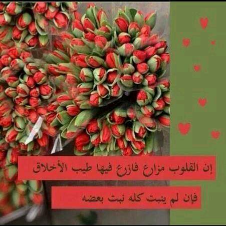 اضغط على الصورة لعرض أكبر.&nbsp;

الإسم:	اخلاقق.jpg&nbsp;
مشاهدات:	2&nbsp;
الحجم:	34.9 كيلوبايت&nbsp;
الهوية:	861120