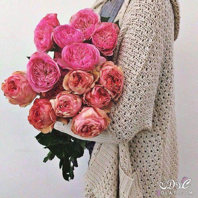 اضغط على الصورة لعرض أكبر.&nbsp;

الإسم:	photo_2017-01-31_19-13-04.jpg&nbsp;
مشاهدات:	1&nbsp;
الحجم:	107.7 كيلوبايت&nbsp;
الهوية:	840698
