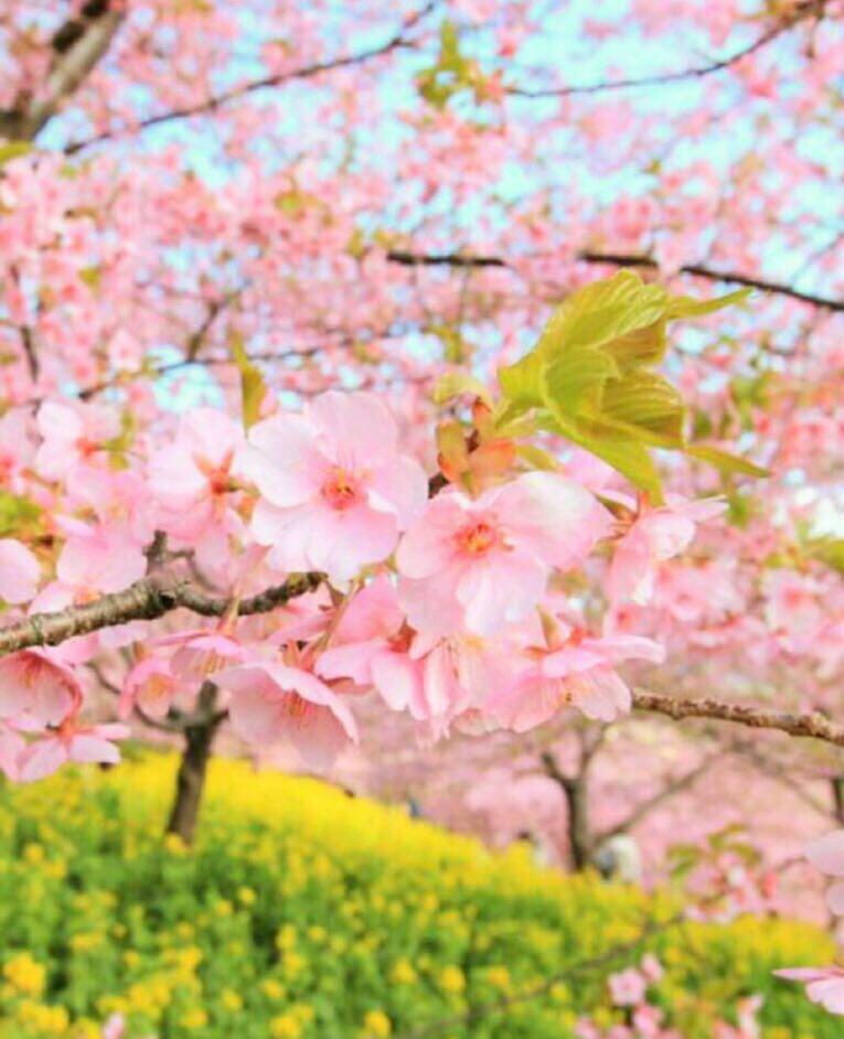 اضغط على الصورة لعرض أكبر.&nbsp;

الإسم:	photo_2016-11-25_22-16-18.jpg&nbsp;
مشاهدات:	2&nbsp;
الحجم:	84.1 كيلوبايت&nbsp;
الهوية:	840495
