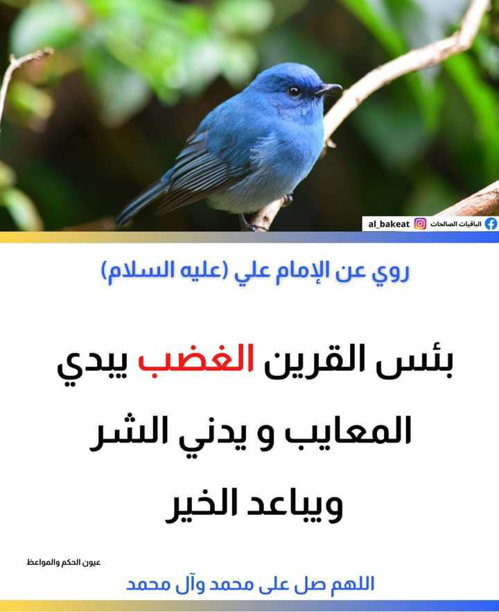 اضغط على الصورة لعرض أكبر.&nbsp;

الإسم:	photo_2022-11-17_15-03-30.jpg&nbsp;
مشاهدات:	208&nbsp;
الحجم:	92.0 كيلوبايت&nbsp;
الهوية:	959247