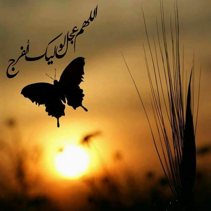 اضغط على الصورة لعرض أكبر.&nbsp;

الإسم:	12193728_410759885782176_4348419626027370861_n.jpg&nbsp;
مشاهدات:	3&nbsp;
الحجم:	30.7 كيلوبايت&nbsp;
الهوية:	859952