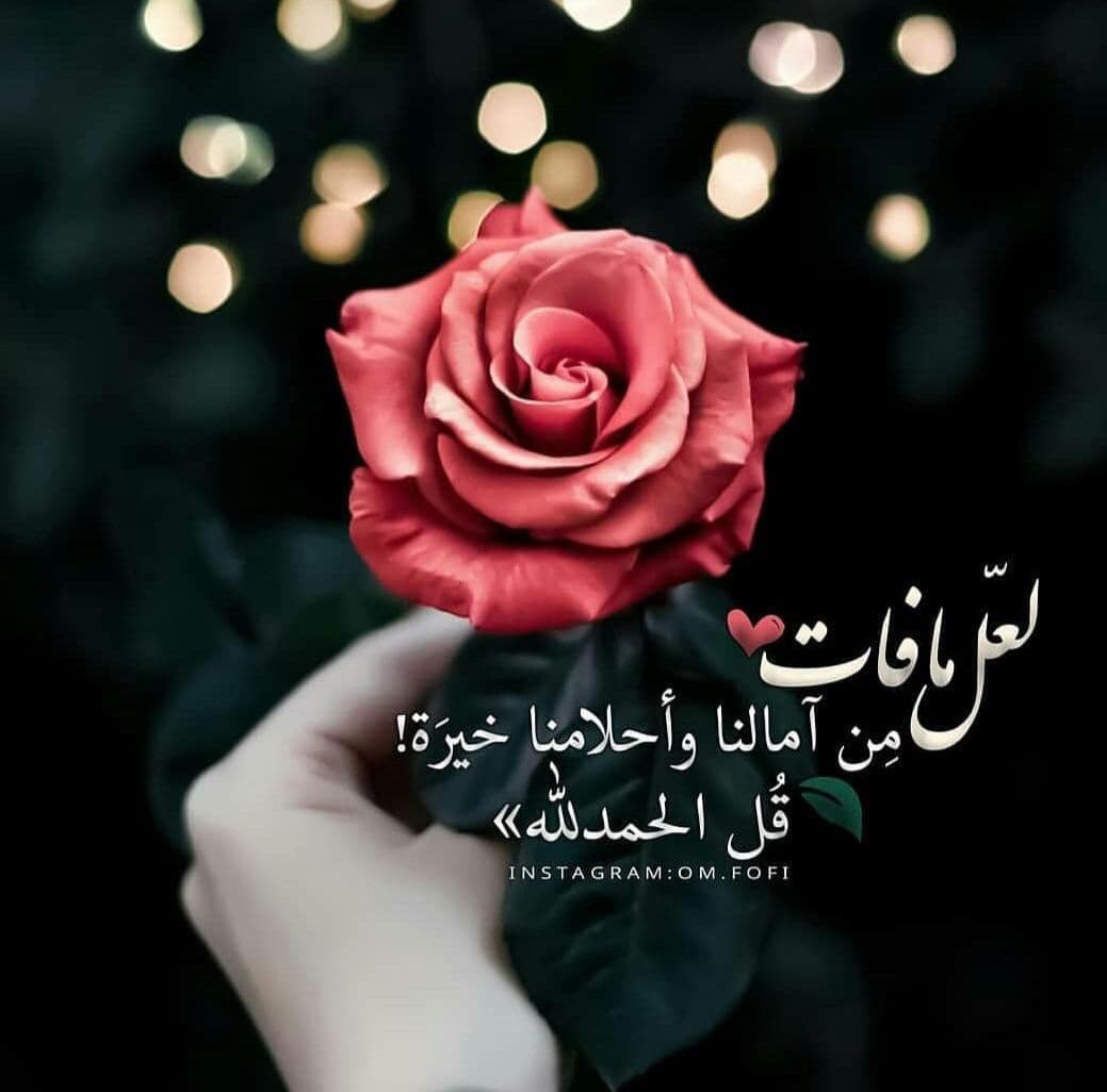 اضغط على الصورة لعرض أكبر.&nbsp;

الإسم:	photo_2021-10-11_10-00-42.jpg&nbsp;
مشاهدات:	454&nbsp;
الحجم:	87.6 كيلوبايت&nbsp;
الهوية:	927330