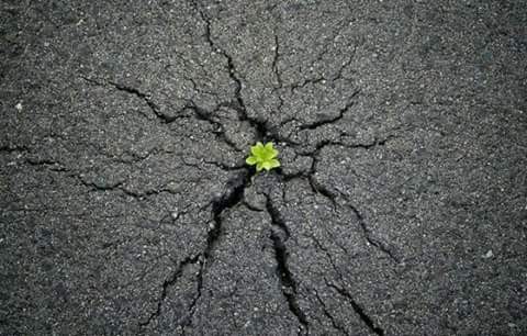 اضغط على الصورة لعرض أكبر.&nbsp;

الإسم:	FB_IMG_1478054368081.jpg&nbsp;
مشاهدات:	327&nbsp;
الحجم:	57.7 كيلوبايت&nbsp;
الهوية:	926250
