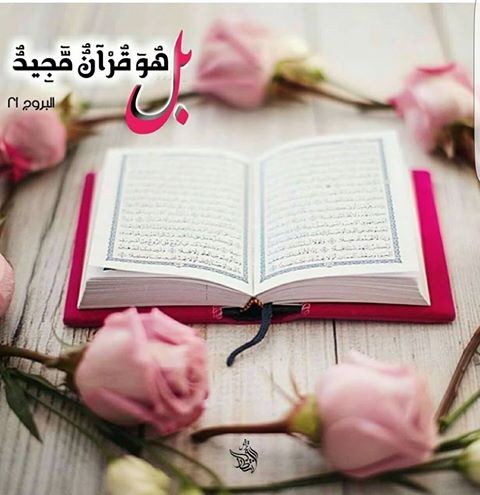 اضغط على الصورة لعرض أكبر.&nbsp;

الإسم:	16681827_1255152784567919_3217898583137178193_n.jpg&nbsp;
مشاهدات:	1169&nbsp;
الحجم:	52.9 كيلوبايت&nbsp;
الهوية:	882266