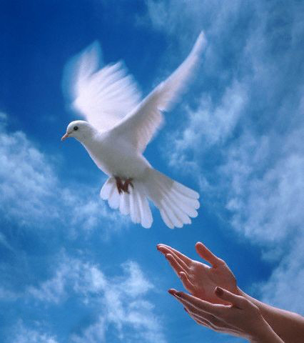 اضغط على الصورة لعرض أكبر.&nbsp;

الإسم:	509a1574cc.jpg&nbsp;
مشاهدات:	1&nbsp;
الحجم:	94.2 كيلوبايت&nbsp;
الهوية:	855425