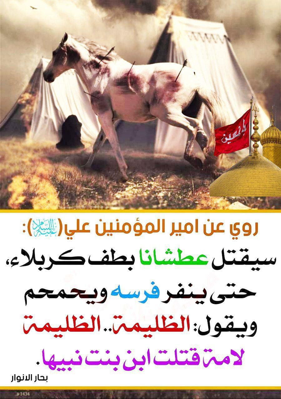 اضغط على الصورة لعرض أكبر.&nbsp;

الإسم:	photo_2021-08-30_09-17-55.jpg&nbsp;
مشاهدات:	567&nbsp;
الحجم:	229.9 كيلوبايت&nbsp;
الهوية:	922822