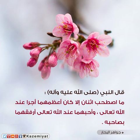 اضغط على الصورة لعرض أكبر.&nbsp;

الإسم:	رفقق.jpg&nbsp;
مشاهدات:	2&nbsp;
الحجم:	29.6 كيلوبايت&nbsp;
الهوية:	860748