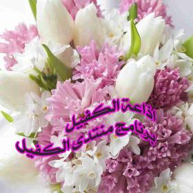 اضغط على الصورة لعرض أكبر.&nbsp;

الإسم:	برنامج.jpg&nbsp;
مشاهدات:	2&nbsp;
الحجم:	18.4 كيلوبايت&nbsp;
الهوية:	832973