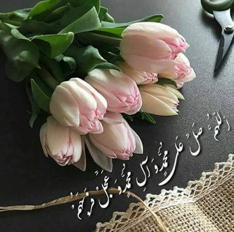 اضغط على الصورة لعرض أكبر.&nbsp;

الإسم:	FB_IMG_1492753596702.jpg&nbsp;
مشاهدات:	3&nbsp;
الحجم:	32.4 كيلوبايت&nbsp;
الهوية:	863480