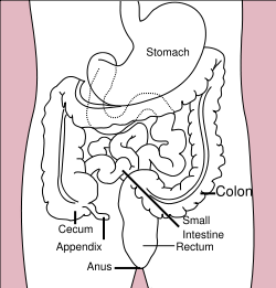 اضغط على الصورة لعرض أكبر.&nbsp;

الإسم:	125_1191850050250px-.png&nbsp;
مشاهدات:	1&nbsp;
الحجم:	24.8 كيلوبايت&nbsp;
الهوية:	848110