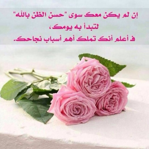 اضغط على الصورة لعرض أكبر.&nbsp;

الإسم:	file.jpg&nbsp;
مشاهدات:	1716&nbsp;
الحجم:	66.0 كيلوبايت&nbsp;
الهوية:	903917
