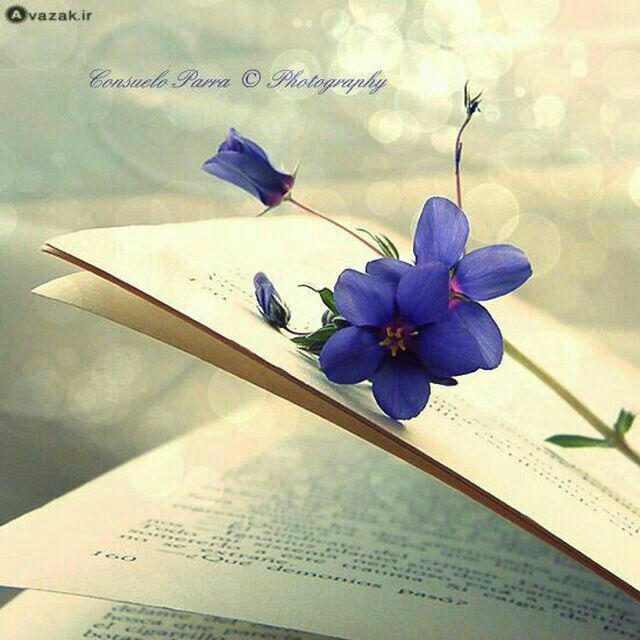 اضغط على الصورة لعرض أكبر.&nbsp;

الإسم:	photo_2016-05-29_10-58-37.jpg&nbsp;
مشاهدات:	750&nbsp;
الحجم:	76.0 كيلوبايت&nbsp;
الهوية:	928546