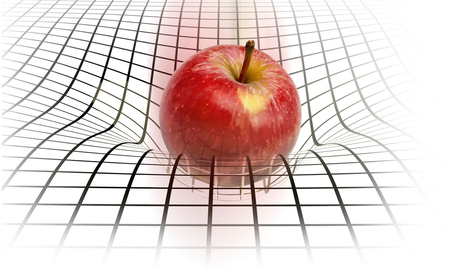 اضغط على الصورة لعرض أكبر.&nbsp;

الإسم:	apple-gravity.jpg&nbsp;
مشاهدات:	861&nbsp;
الحجم:	246.3 كيلوبايت&nbsp;
الهوية:	913330