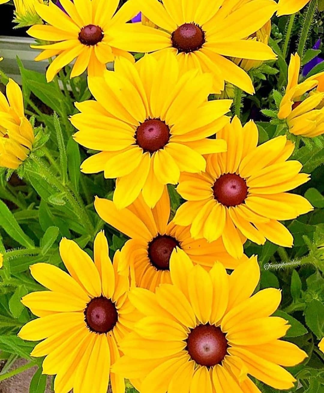 اضغط على الصورة لعرض أكبر.&nbsp;

الإسم:	IMG-20210130-WA0012.jpg&nbsp;
مشاهدات:	317&nbsp;
الحجم:	236.5 كيلوبايت&nbsp;
الهوية:	926460