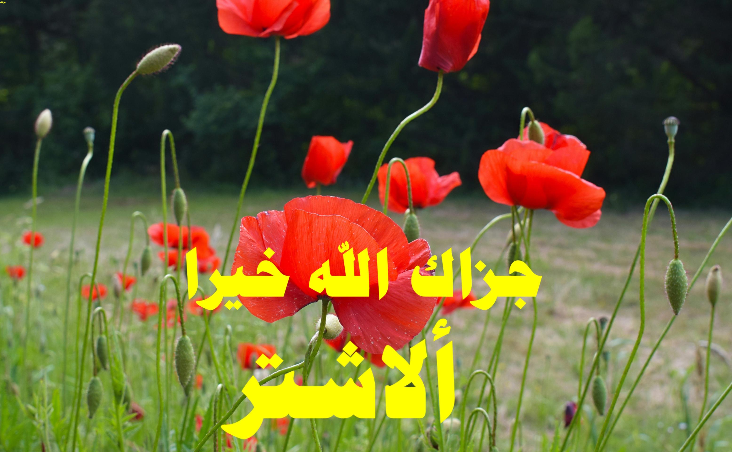 اضغط على الصورة لعرض أكبر.&nbsp;

الإسم:	شششش.jpg&nbsp;
مشاهدات:	272&nbsp;
الحجم:	389.7 كيلوبايت&nbsp;
الهوية:	1007437