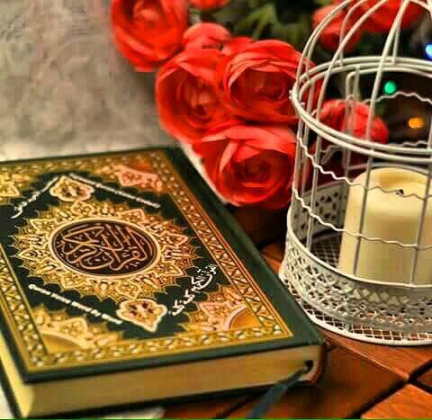 اضغط على الصورة لعرض أكبر.&nbsp;

الإسم:	photo_2016-04-17_20-20-17.jpg&nbsp;
مشاهدات:	1168&nbsp;
الحجم:	63.1 كيلوبايت&nbsp;
الهوية:	882265