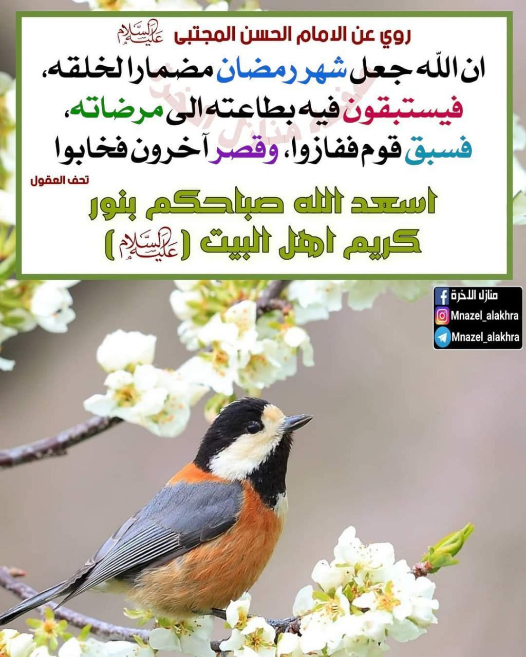 اضغط على الصورة لعرض أكبر.&nbsp;

الإسم:	photo_2023-04-07_13-33-29.jpg&nbsp;
مشاهدات:	248&nbsp;
الحجم:	260.0 كيلوبايت&nbsp;
الهوية:	972518