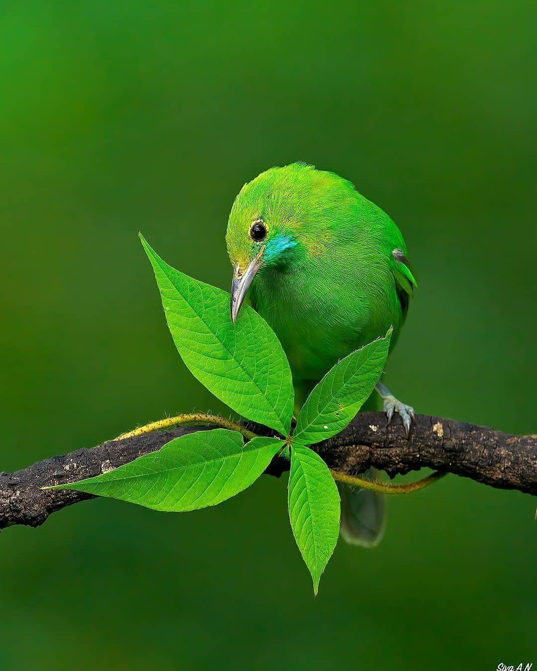 اضغط على الصورة لعرض أكبر.&nbsp;

الإسم:	IMG-20201201-WA0001.jpg&nbsp;
مشاهدات:	472&nbsp;
الحجم:	183.0 كيلوبايت&nbsp;
الهوية:	917419