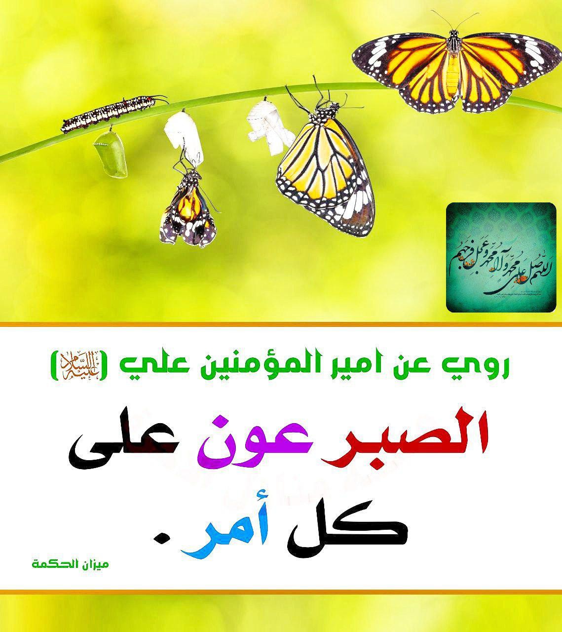 اضغط على الصورة لعرض أكبر.&nbsp;

الإسم:	photo_2021-10-26_08-56-37.jpg&nbsp;
مشاهدات:	234&nbsp;
الحجم:	216.9 كيلوبايت&nbsp;
الهوية:	928057