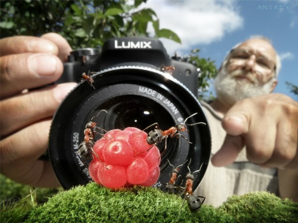 اضغط على الصورة لعرض أكبر.&nbsp;

الإسم:	ض2.jpg&nbsp;
مشاهدات:	1&nbsp;
الحجم:	70.4 كيلوبايت&nbsp;
الهوية:	849387
