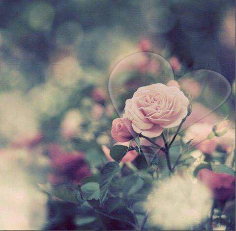 اضغط على الصورة لعرض أكبر.&nbsp;

الإسم:	photo_2017-06-16_01-29-09.jpg&nbsp;
مشاهدات:	2&nbsp;
الحجم:	31.7 كيلوبايت&nbsp;
الهوية:	863720