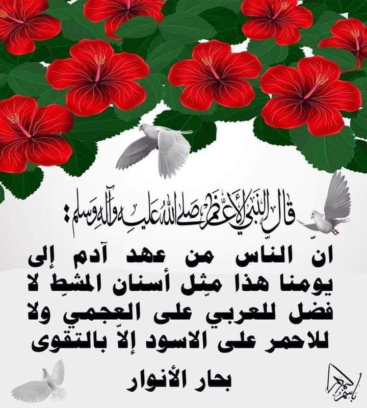 اضغط على الصورة لعرض أكبر.&nbsp;

الإسم:	photo_2023-07-21_06-42-29.jpg&nbsp;
مشاهدات:	916&nbsp;
الحجم:	124.5 كيلوبايت&nbsp;
الهوية:	979649