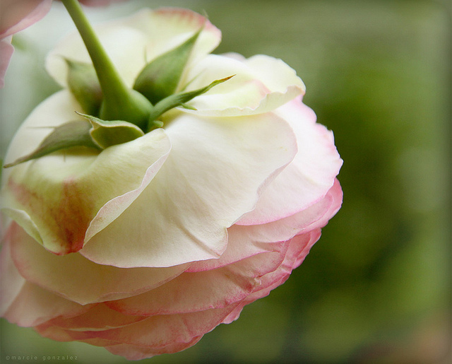 اضغط على الصورة لعرض أكبر.&nbsp;

الإسم:	57146937474f877cab83z (1).jpg&nbsp;
مشاهدات:	4&nbsp;
الحجم:	159.3 كيلوبايت&nbsp;
الهوية:	840485