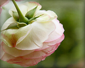 اضغط على الصورة لعرض أكبر.&nbsp;

الإسم:	57146937474f877cab83z (1).jpg&nbsp;
مشاهدات:	4&nbsp;
الحجم:	159.3 كيلوبايت&nbsp;
الهوية:	859774