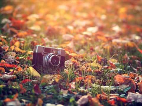 اضغط على الصورة لعرض أكبر.&nbsp;

الإسم:	1913577_250645088612437_579179009672023547_n.jpg&nbsp;
مشاهدات:	1&nbsp;
الحجم:	25.7 كيلوبايت&nbsp;
الهوية:	860950