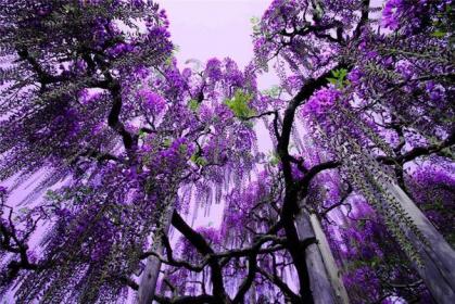 اضغط على الصورة لعرض أكبر.&nbsp;

الإسم:	293.jpg&nbsp;
مشاهدات:	1&nbsp;
الحجم:	42.4 كيلوبايت&nbsp;
الهوية:	850353
